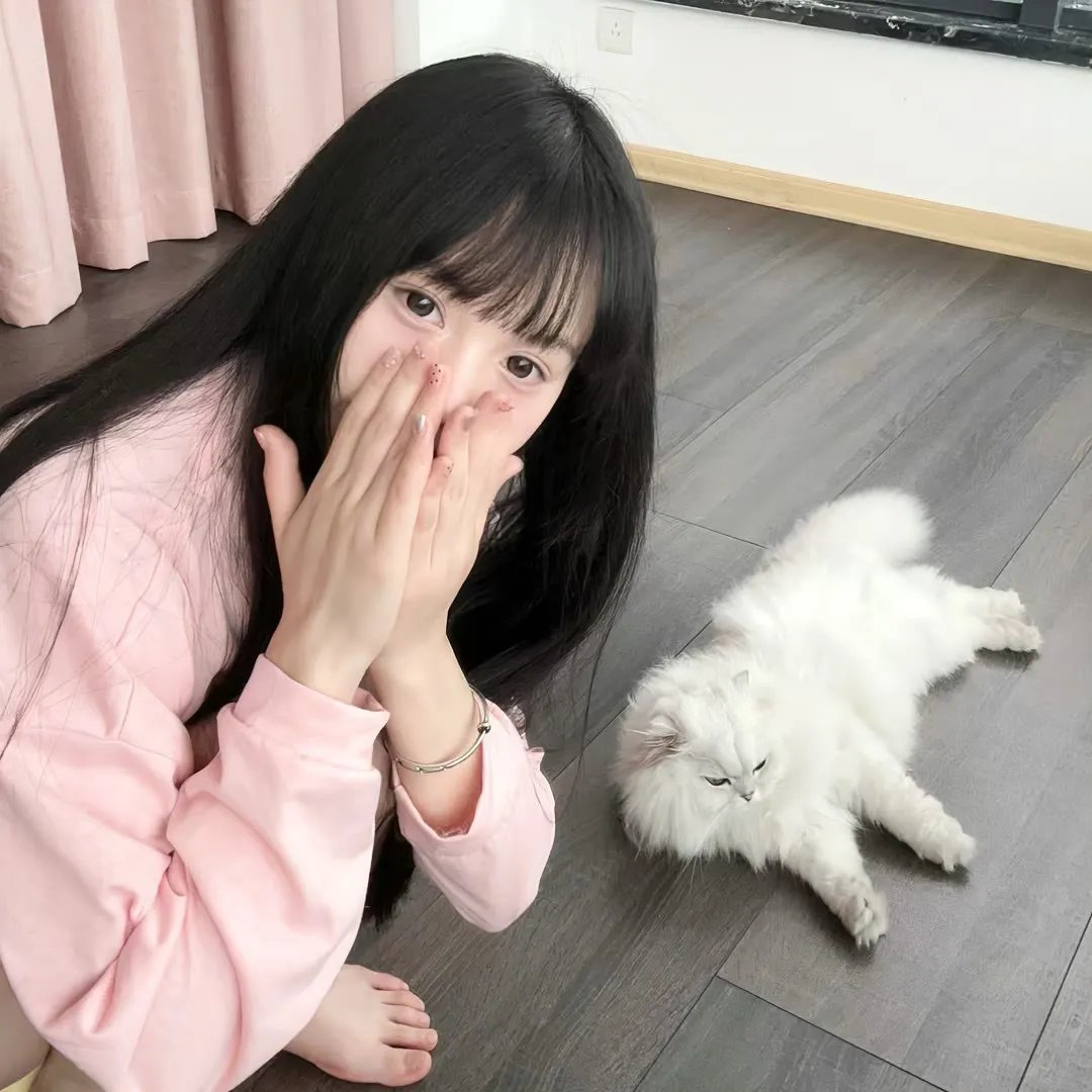 猪就是猪
